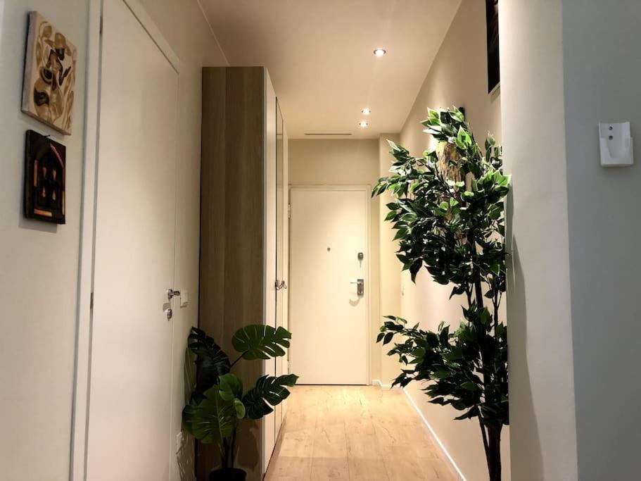 Elegante Appartamento Milano Linate Dış mekan fotoğraf
